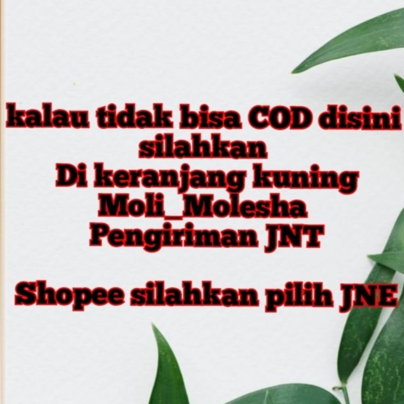 gelang lilis lamiang kecil  asli 2 cm by request