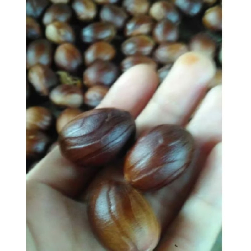 

Buah pala kering 500g