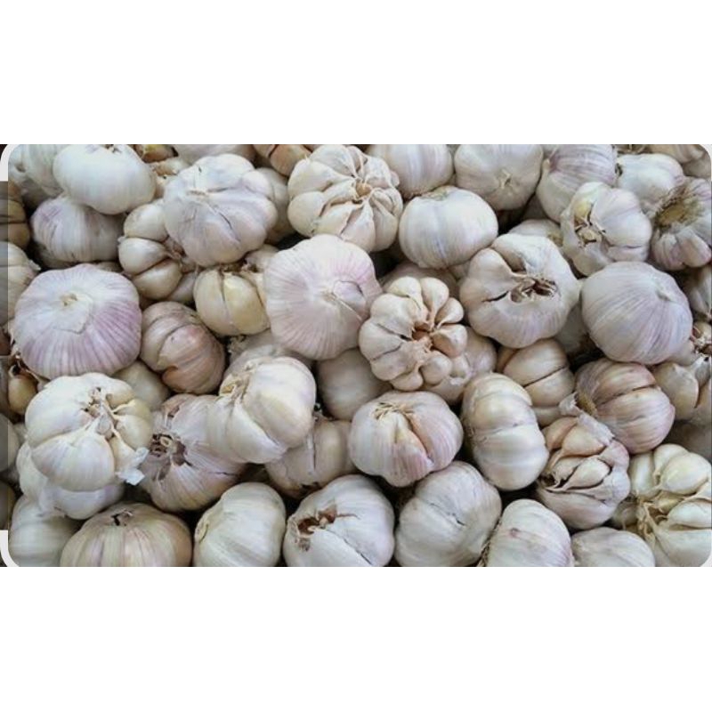 

BAWANG PUTIH 1 KG 1/2 KG SUPER BAGUS/BRAMBANG