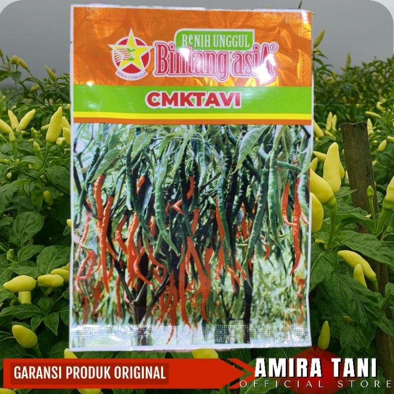 BENIH CMK TAVI 10 GRM CABAI KERITING ORIGINAL BINTANG ASIA