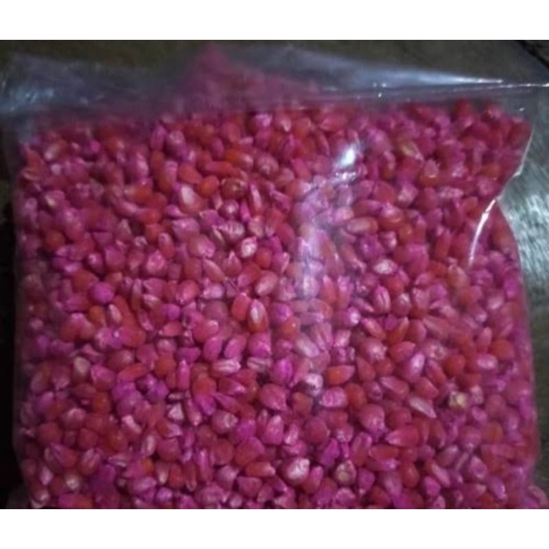 

GROSIR!! 1KG JAGUNG KRISTAL KEMASAN