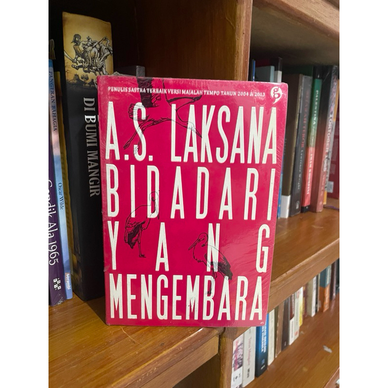 Bidadari Yang Mengembara