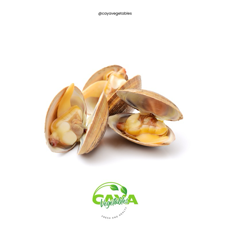 

Kerang Kepah/Tahu Segar Fresh Frozen 500g | CayaVegetables