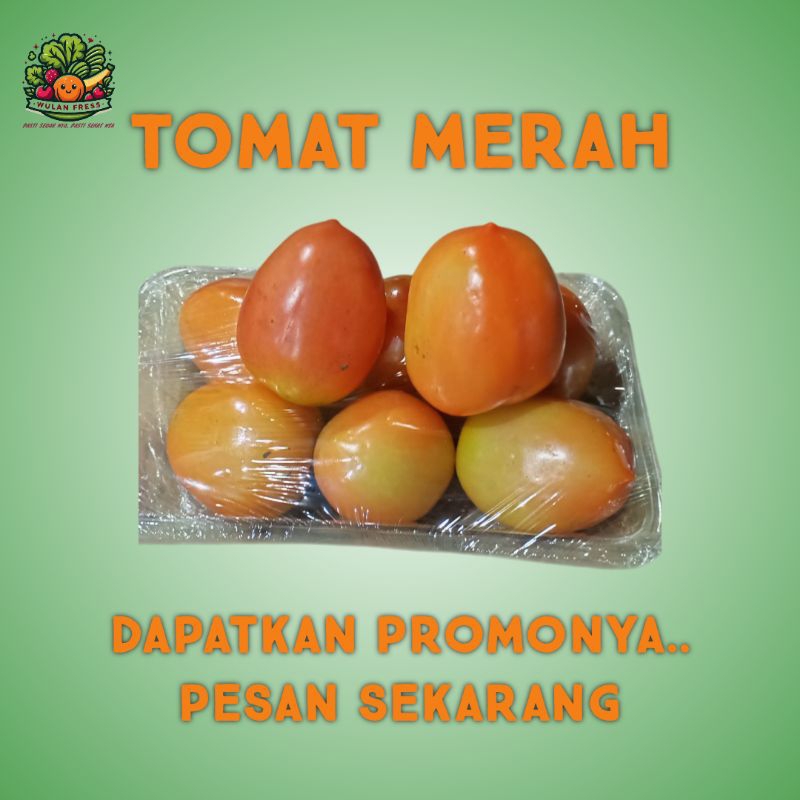 

TOMAT MERAH