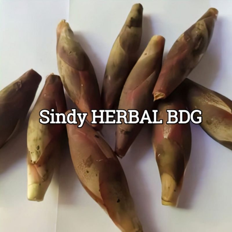 

Buah Galoba / Pining Bawang Segar Fres Isi Per 1 Kg Organik