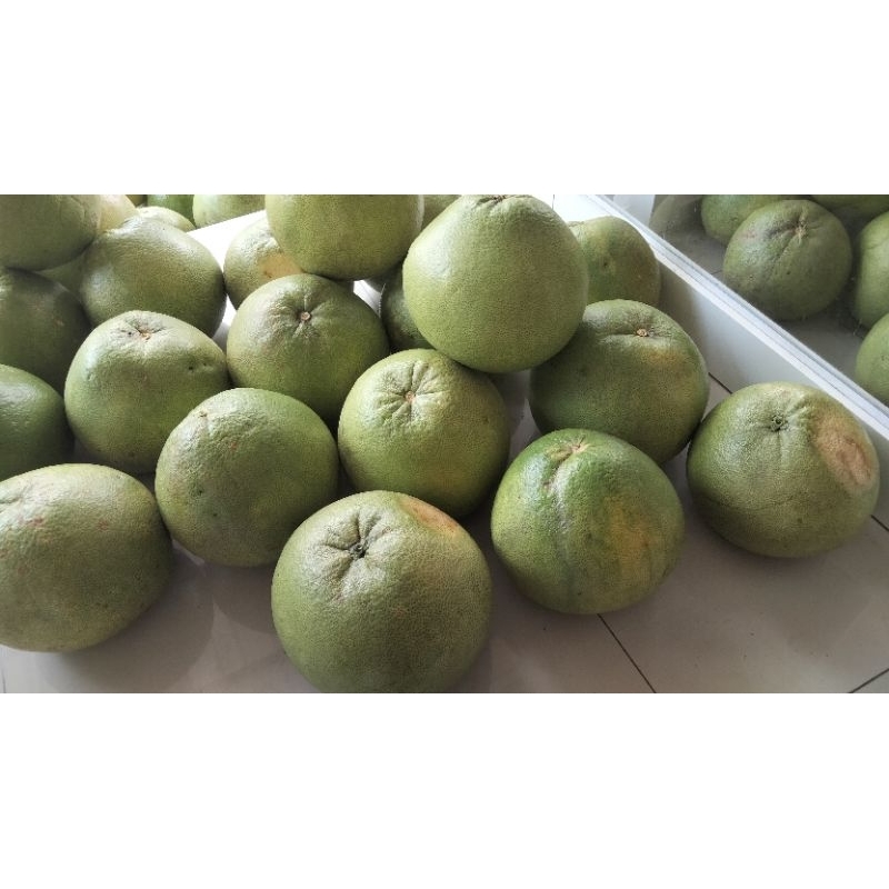 

JERUK PAMELO MADU MANIS UKURAN 2.2 KG - 2-4KG