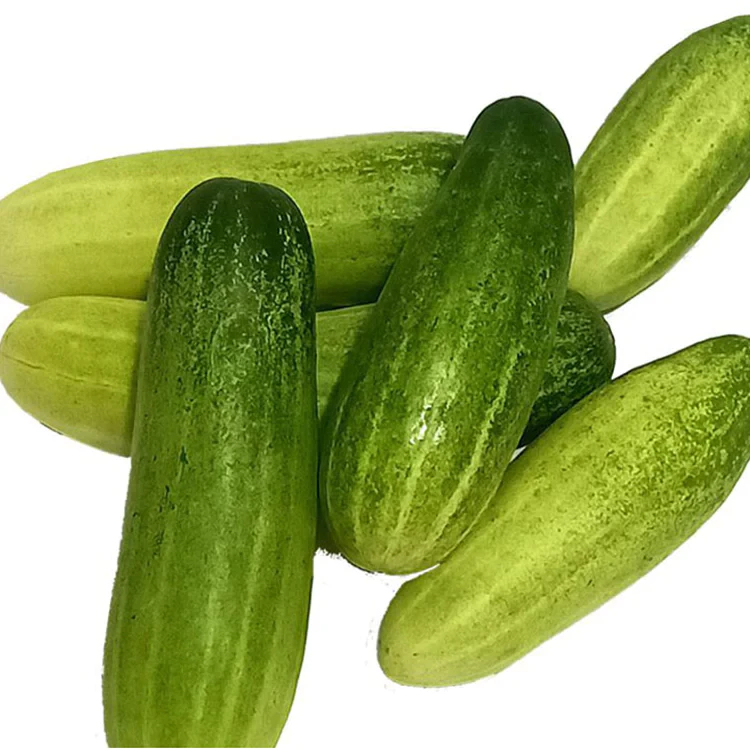 

Timun Lokal Segar 500 gram - local cucumber 500 gram