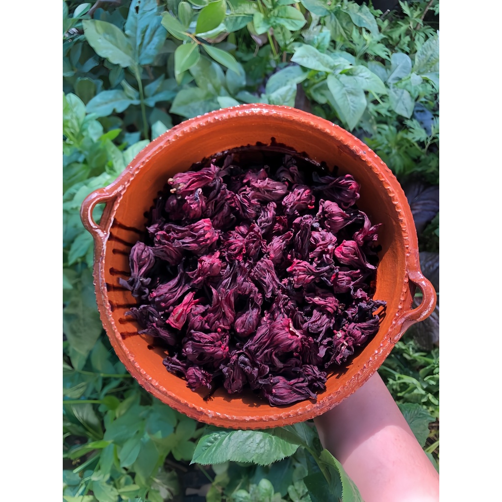 

[Free Ongkir] Rosella Kering murni 50gr – Herbal Bunga Rosella Asli – Minuman Sehat Dingin & Panas