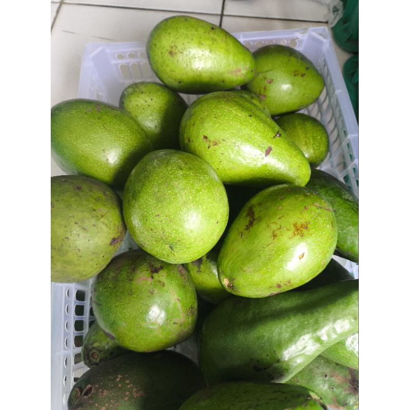 

Alpukat Mentega Premium - Alpukat Manis Legit dan Creamy 1000 gr
