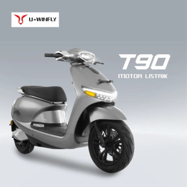 MOTOR LISTRIK UWINFLY T90