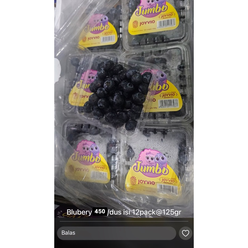 

blueberry jumbo per dus isi 12 pack 125gram per pack