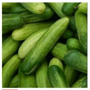 

Mentimun / Timun / Cucumber 500gr