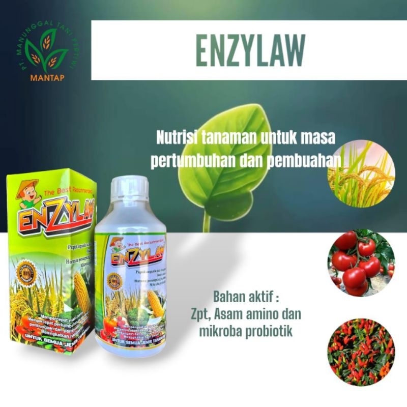 ENZYLAW 1L (Pupuk cair organik lengkap)