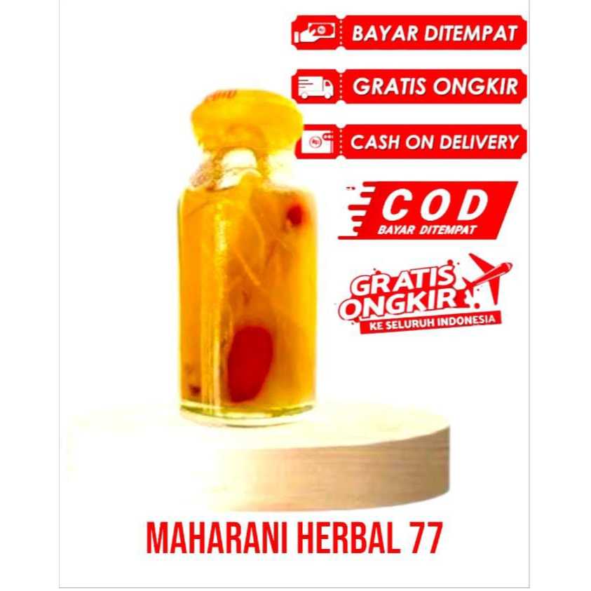 MINYAK BULUS GINSENG MERAH R37 ORI ASLI ORIGINAL PEMBESAR PAYUDARA