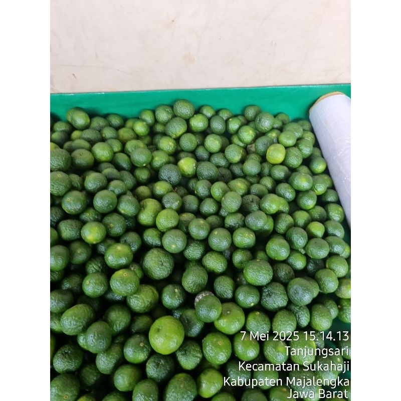 

jeruk limau jeruk sambel 5kg