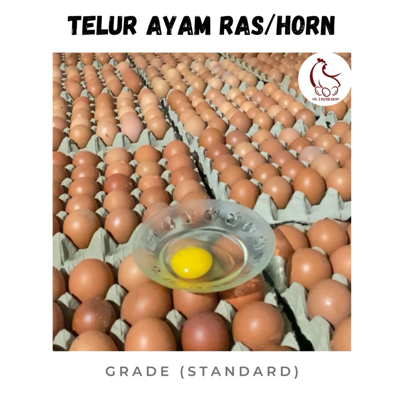 

TELUR AYAM RAS SEGAR – UKURAN BESAR & HIGIENIS / ASLI BLITAR