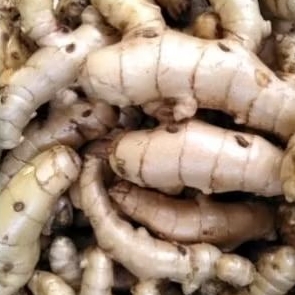 

temu putih segar 500gram