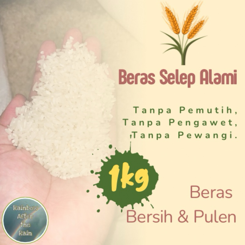 

Beras Selep Alami Bersih dan Pulen 1kg - Tanpa Pemutih, Tanpa Pengawet, Tanpa Pewangi