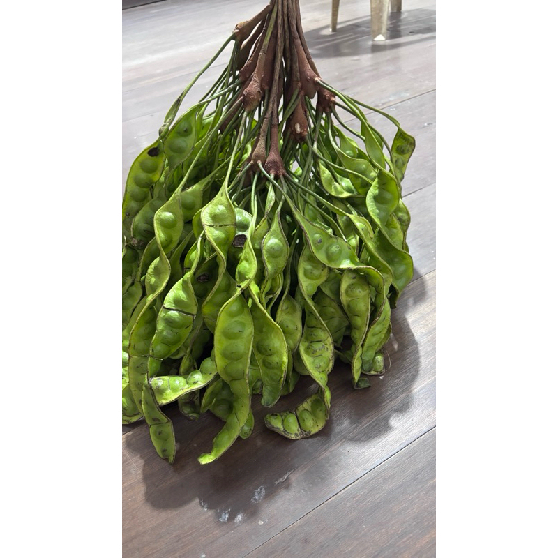 

PETAI SAMBAS 5 KEPING