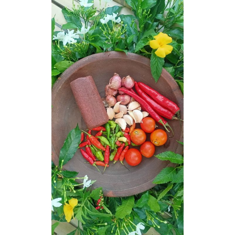 

Terasi / Belacan Paling Enak, kualitas super Asli Puger 250gr