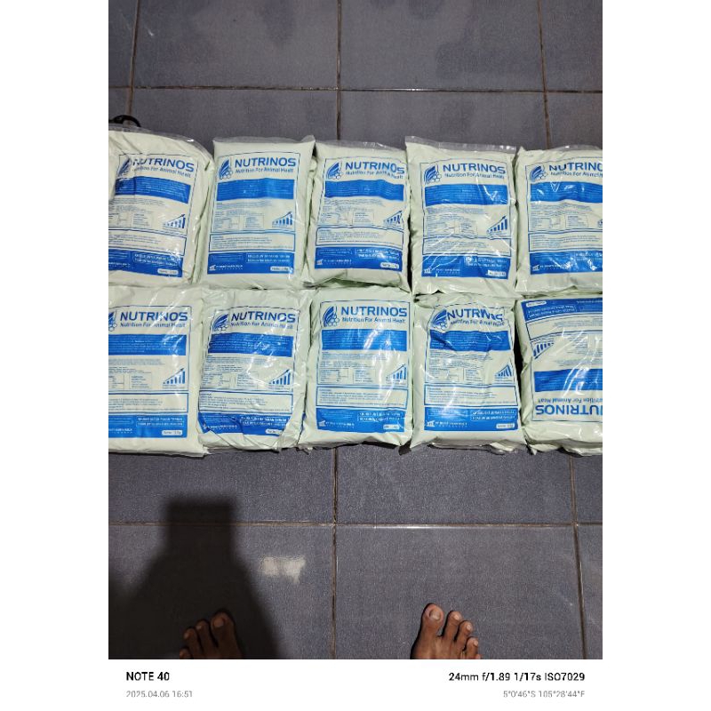 Susu Untuk hewan pengganti susu induk ||  Nutrinos