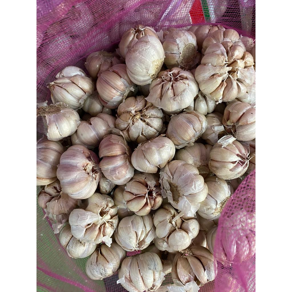 

Bawang Putih Honam/ Banci Bersih 1 kg/1000gr
