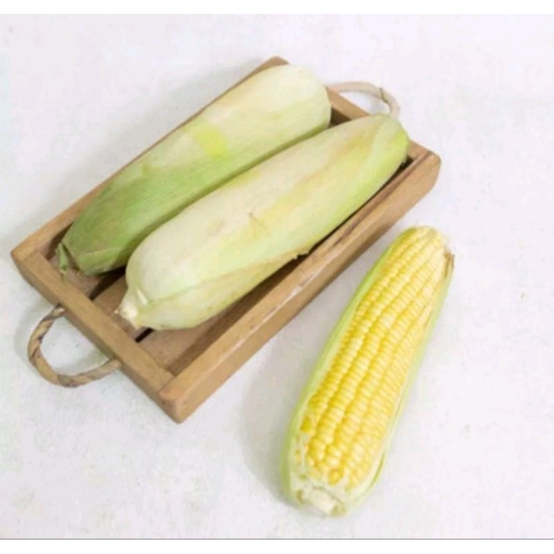 

Jagung manis 1 kg..