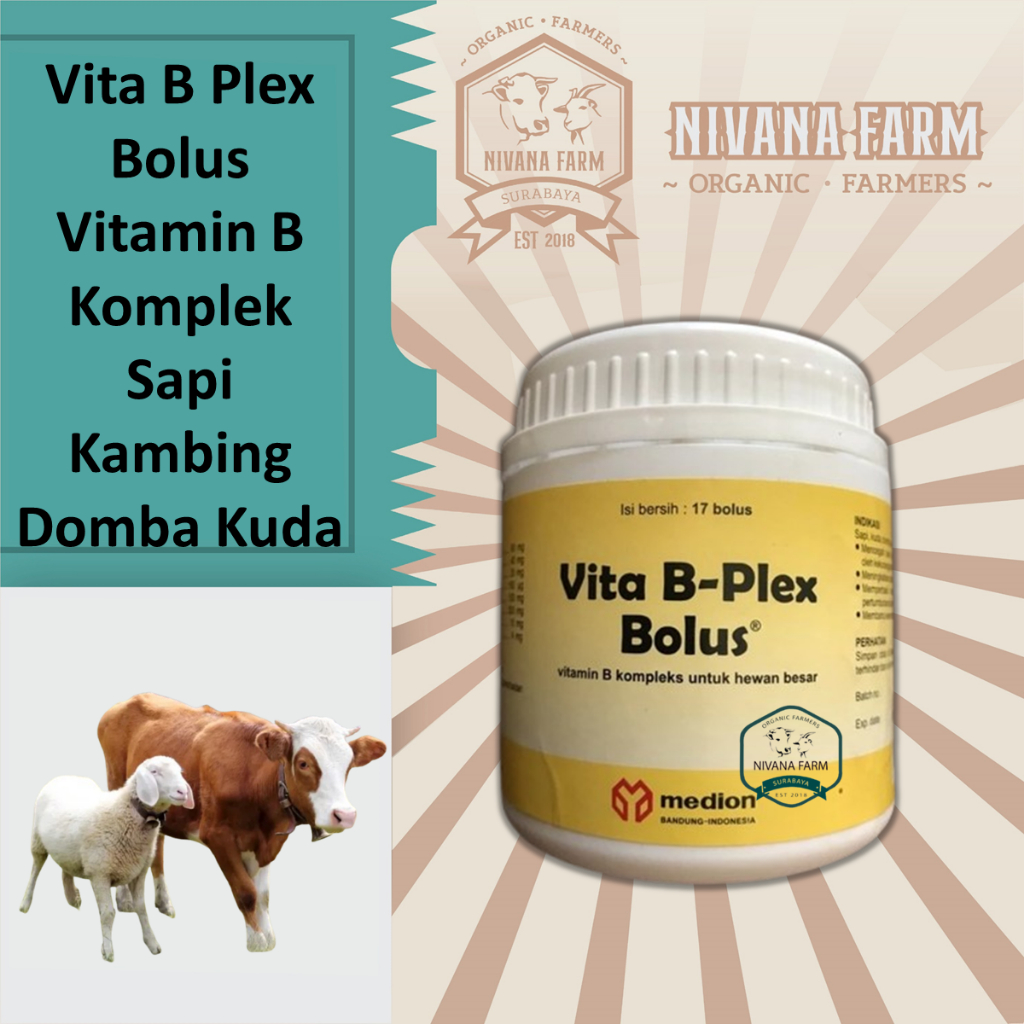 Vita B Plex 17 Bolus Vitamin B Komplek Sapi Kambing Domba Kuda