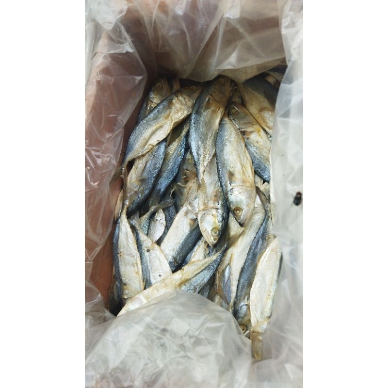 

Ikan Asin Peda Abang Sayur Lampung