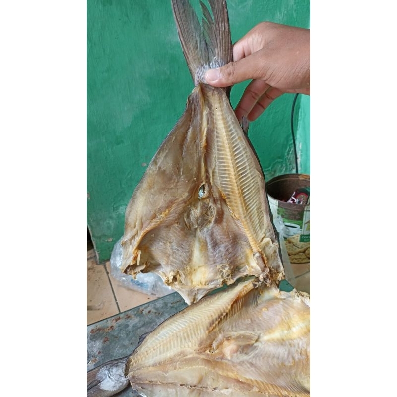 

Ikan Asin Jambal Roti|Super Ngeprul|500g|