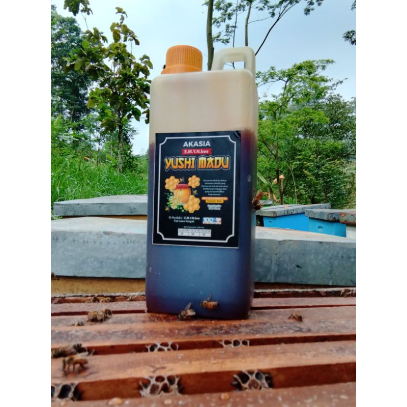 

Madu hutan akasia 1kg || MADU ASLI 100% || YUSHI MADU || madu murni