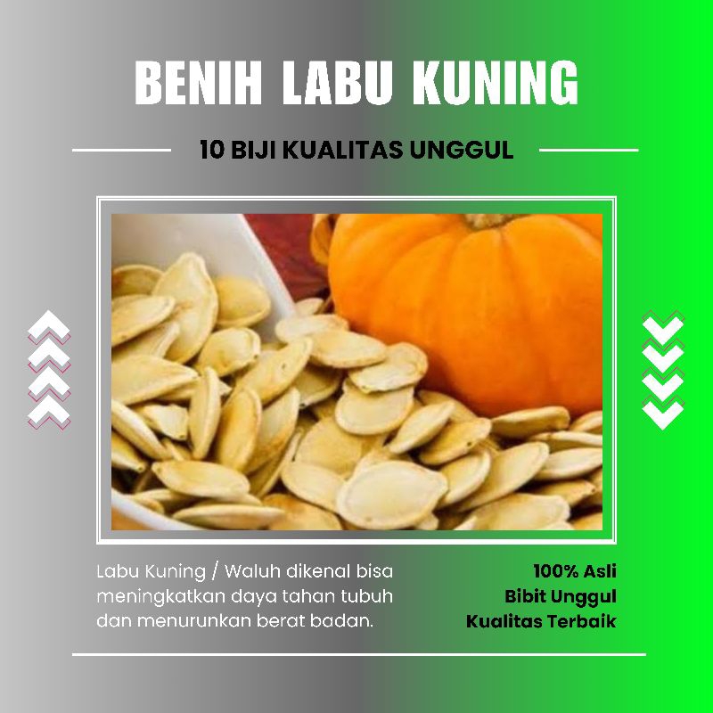 INDOTANI_ 10 biji Benih Labu Kuning / Waluh / Labu Jumbo Kuning