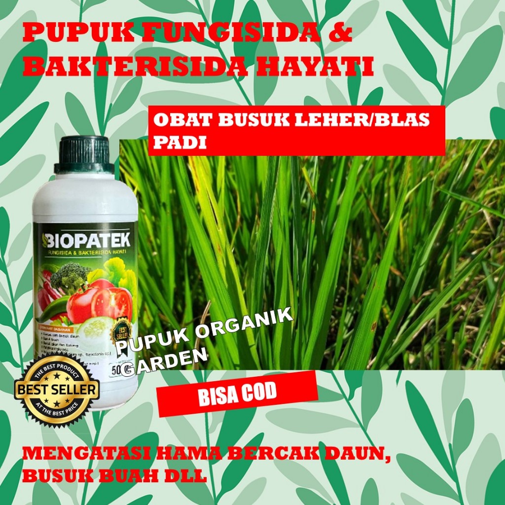 PROMO COD Pupuk BIOPATEK Fungisida Hayati Mengobati Penyakit Blas Padi Paling Ampuh Dan Majur - Pupu