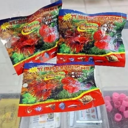 Cacing Kering Kyoto Tubifex Worm