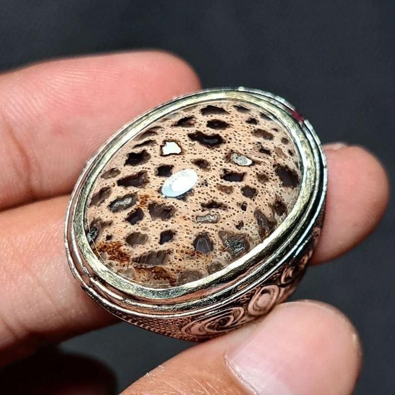 BATU AKIK FOSIL AREN NATURAL