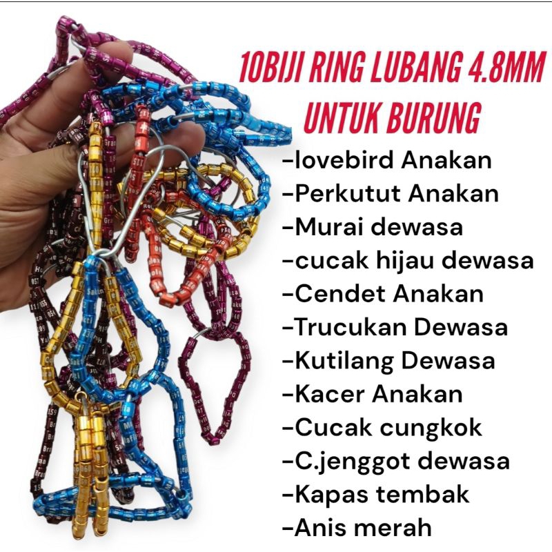 10biji Ring Burung Lovebird, Cendet, Perkutut, Kacer sudah ada namanya | Cincin Burung