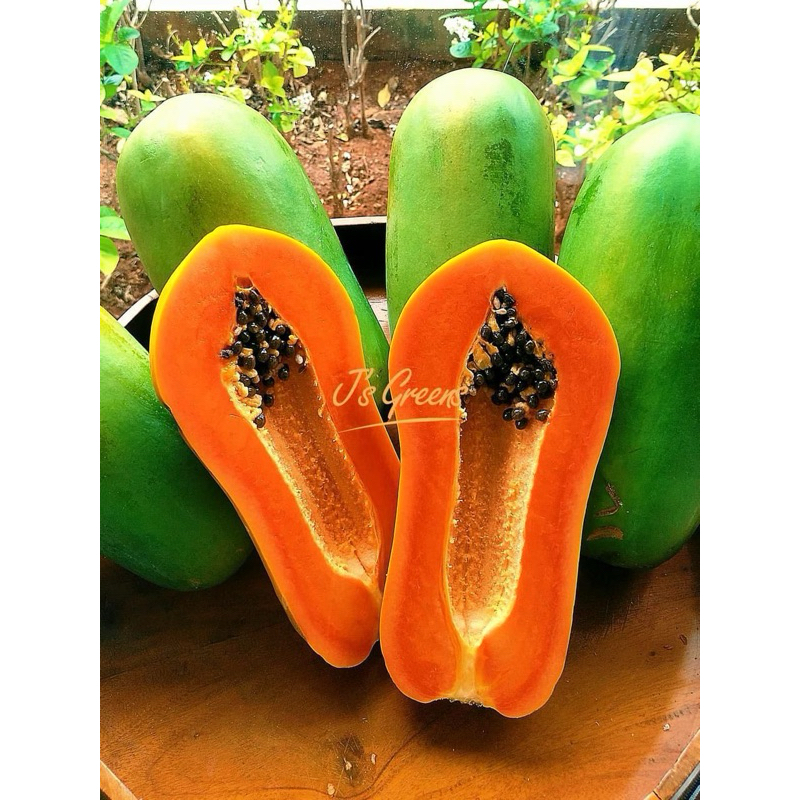 

Pepaya california lokal