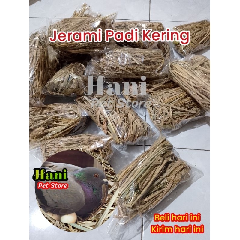 JERAMI SARANG BURUNG TARANGAN JERAMI ALAS SARANG BURUNG ALAS KANDANG MERPATI KENARI SERAT JERAMI
