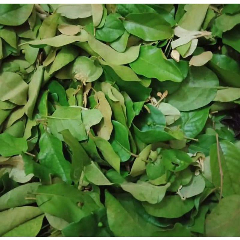

benalu jeruk nipis segar 500gram