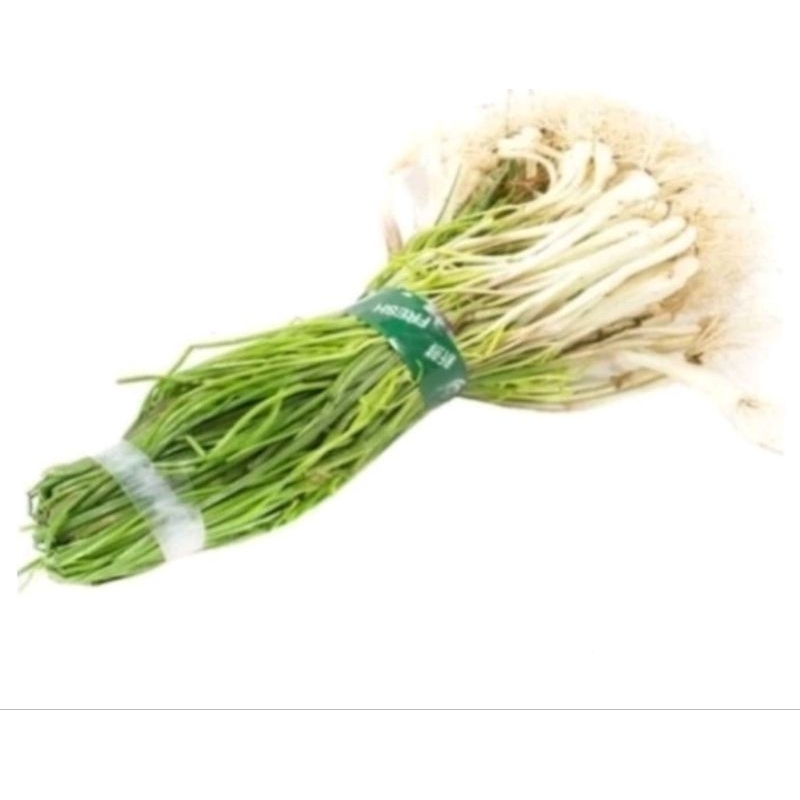 

Sayur lengkio / bawang lengkio per ikat..