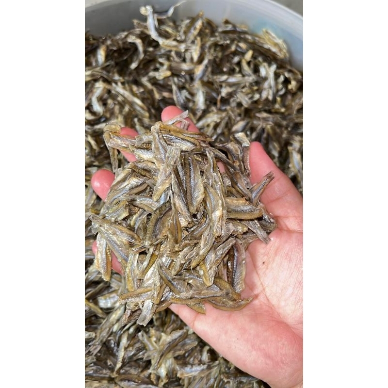 

ikan kering saluang muara teweh iwak karing