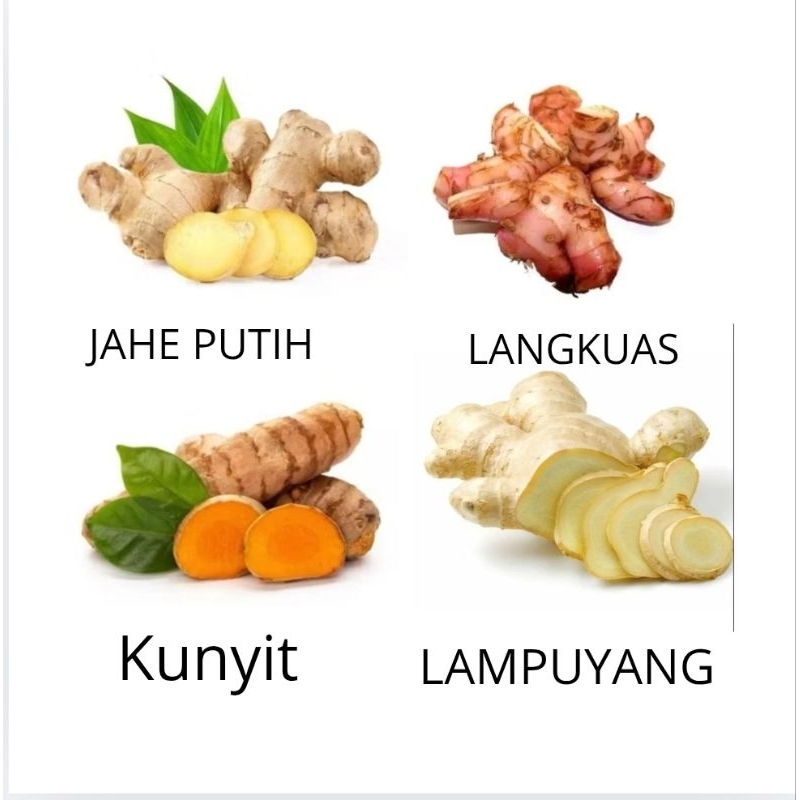 

KUNYIT LAMPUYANG JAHE LAJA PER 250 GRAM / 1/4 KG KUALITAS ORI BUMBU DAPUR TERMURAH TERLARIS