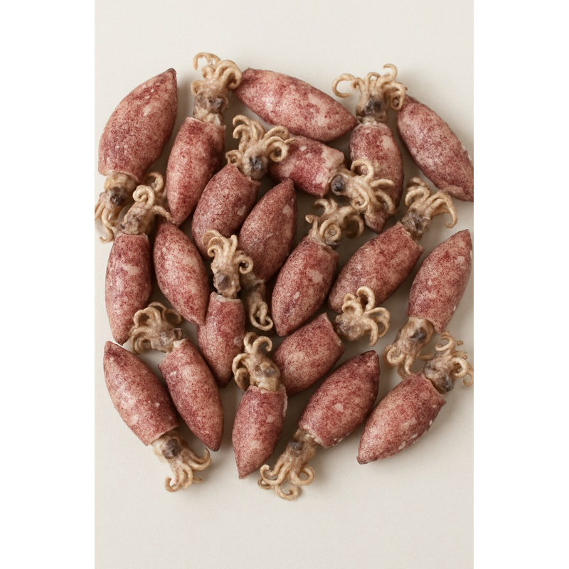 

Baby cumi asin | Baby cumi | Seafood | cumi asin | cumi termurah | cumi jakarta