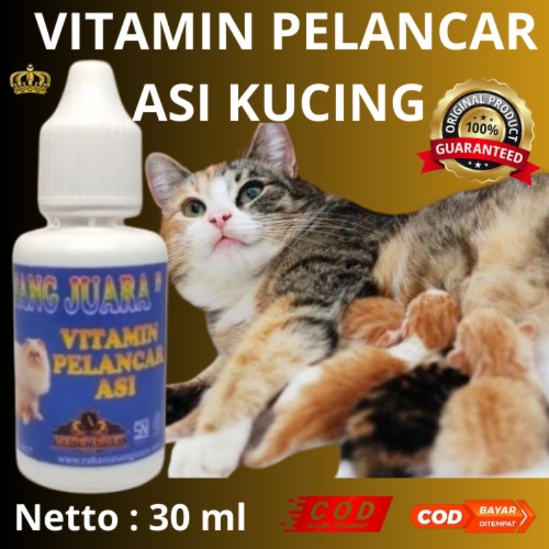 VITAMIN PELANCAR ASI KUCING