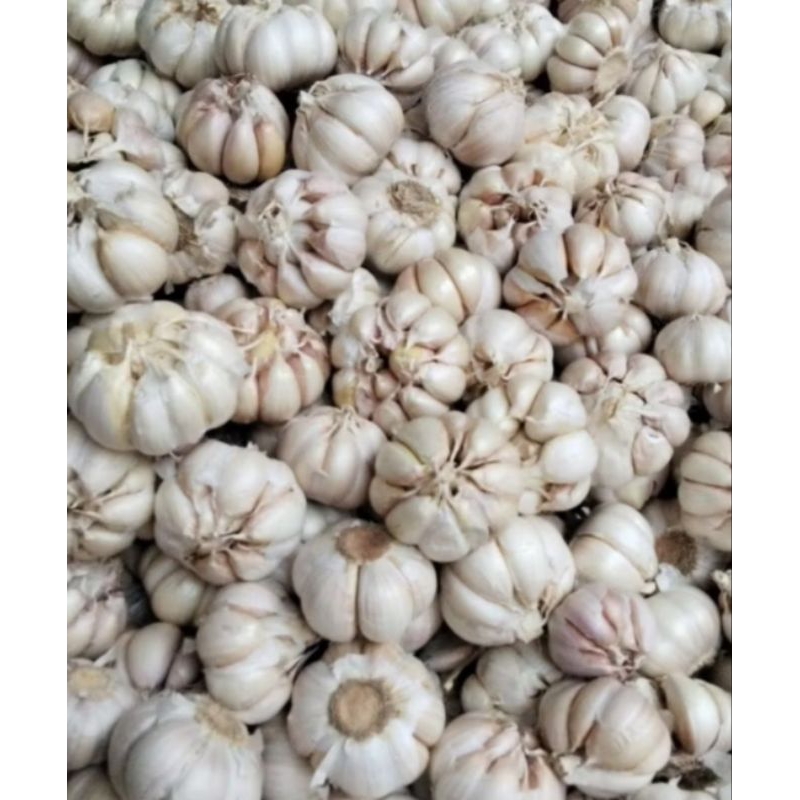 

Bawang Putih Per 1 Kg
