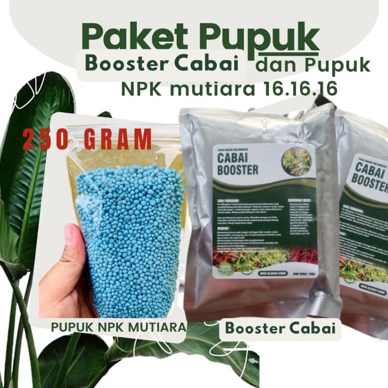 PAKET LENGKAP Pupuk Booster Lebat Buah Cabai Cabe  Plus Pupuk NPK Mutiara 16.16.16 250 gram //  Pupu