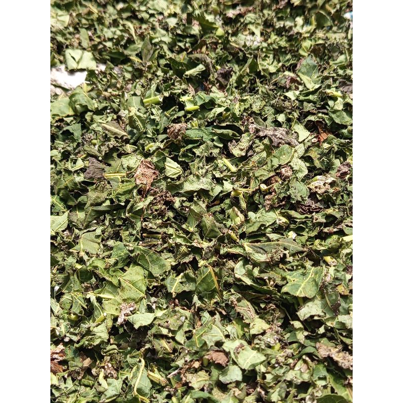 

ready daun pepaya kering per 100gram (original 100%)