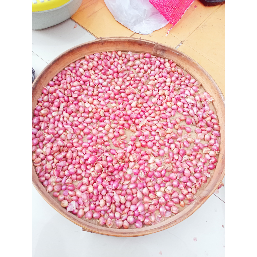 

bawang merah probolinggo kering kecil kemasan 500 gram