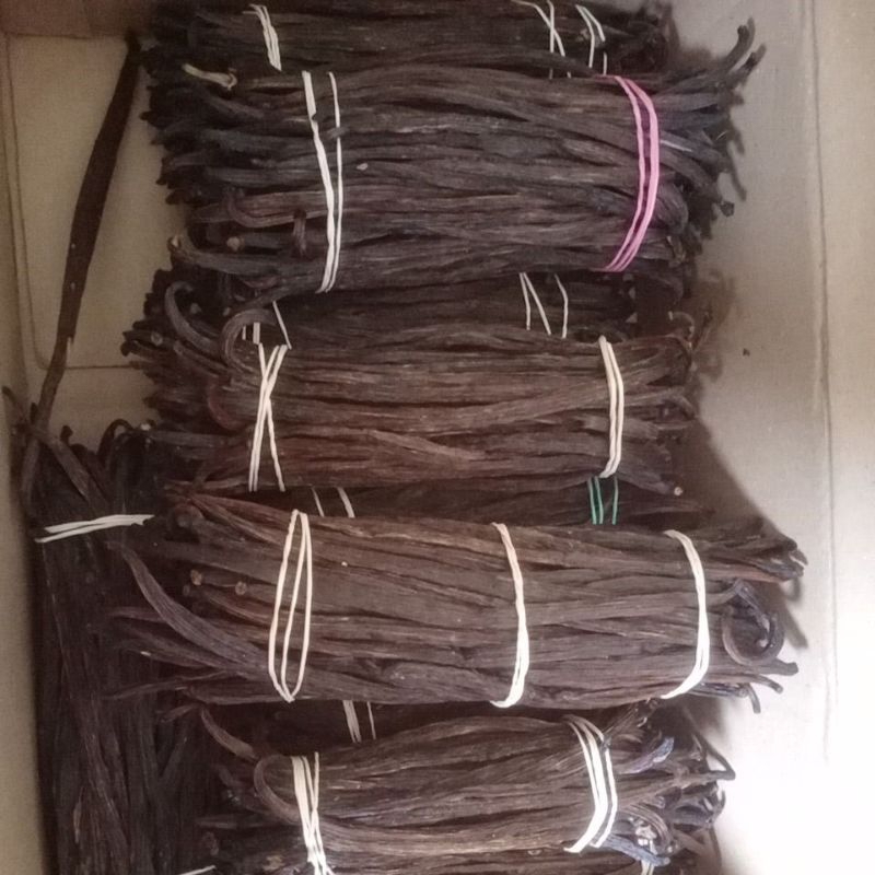 

vanili kering satuan grade B