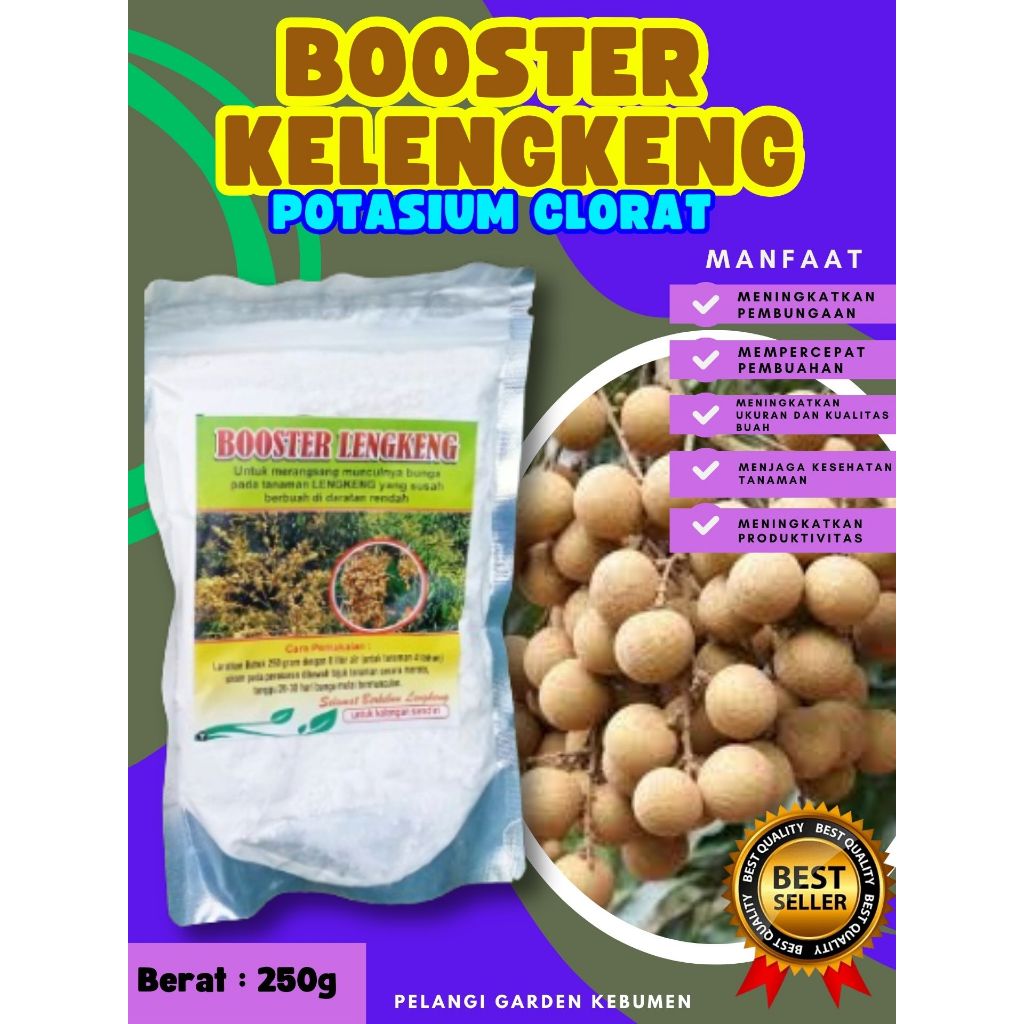TERLARIS  Booster Buah Kelengkeng Siap Berbuah, Booster Buah Kelengkeng Stek, Booster Buah Kelengken